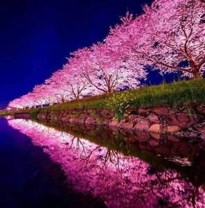 Meet your Posher, Consuelo